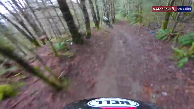 استرس و هیجان در دوچرخه سواری در جنگل