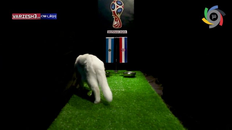 پیش بینی بلوط گربه ورزش سه از بازی آرژانتین - کرواسی
