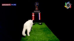 پیش بینی بلوط گربه ورزش سه از بازی دانمارک و فرانسه