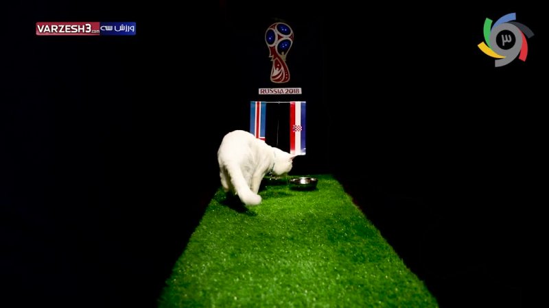 پیش بینی بلوط گربه ورزش سه از بازی ایسلند-کرواسی