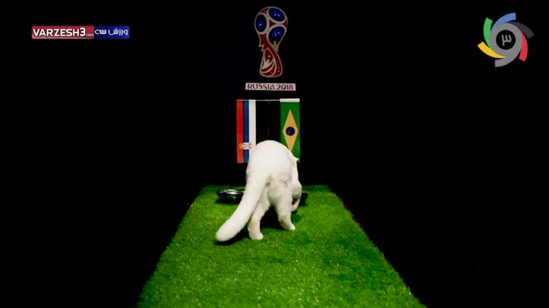 پیش‌بینی بلوط گربه ورزش‌سه از بازی صربستان-برزیل