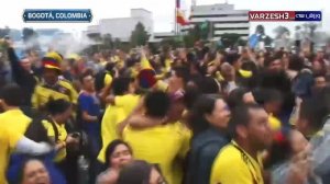 شادی هواداران کلمبیا پس از گل یری مینا